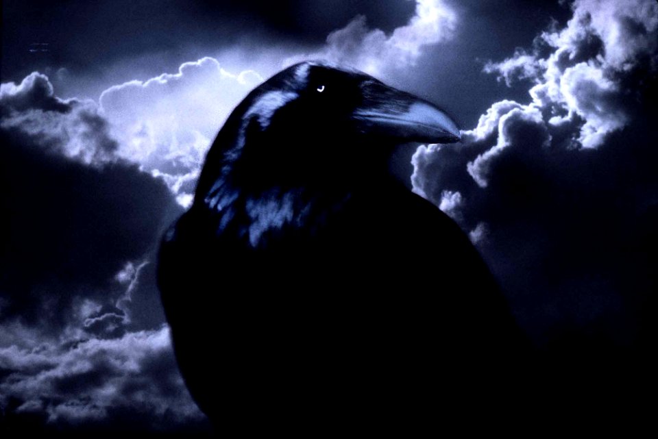 RAVEN, EYE OF THE STORM