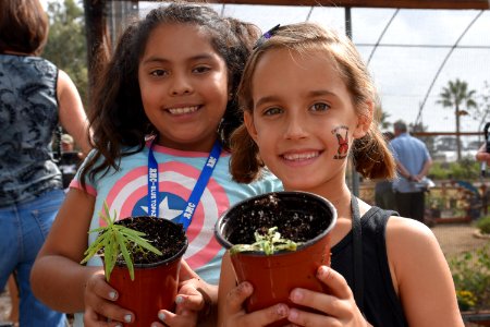 Monarch Butterfly Tagging Event