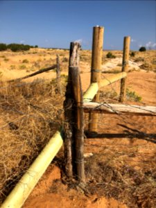 Docs Beach damage remedied by Eagles Scouts. Rancher. BLM. 2019 (40)