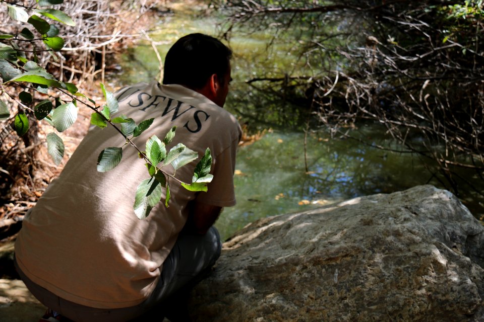 Senior biologist Eric Morissette spots a California red-legged frog. photo