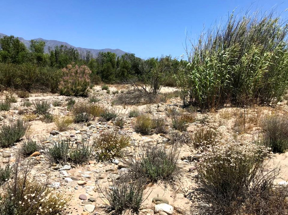 The Santa Clara River.
