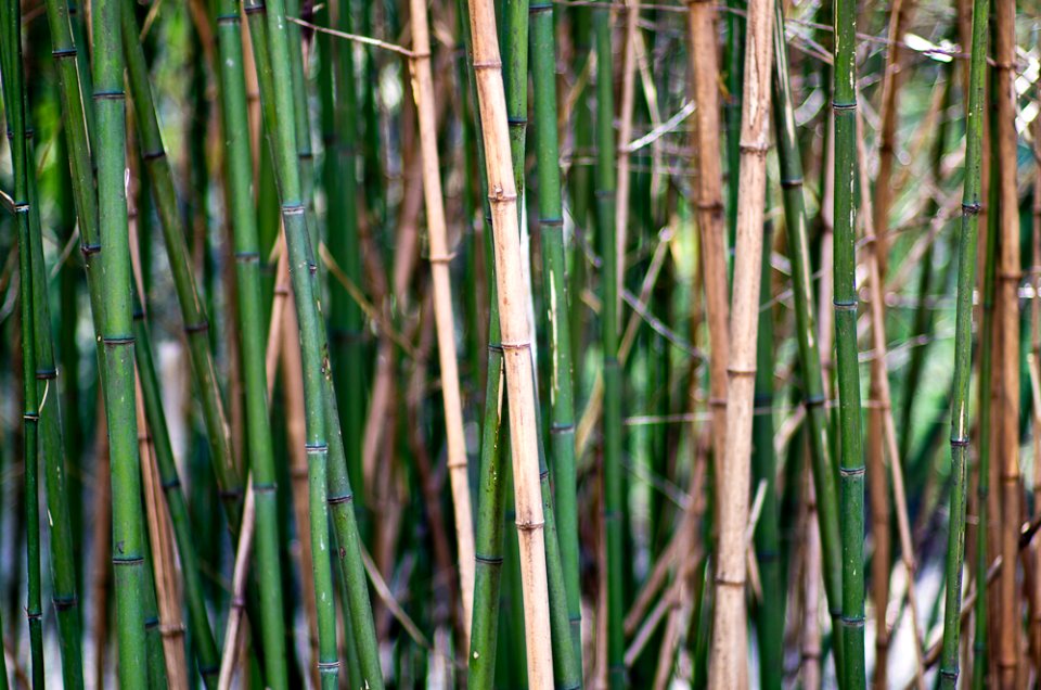 20110327-IMGP7277