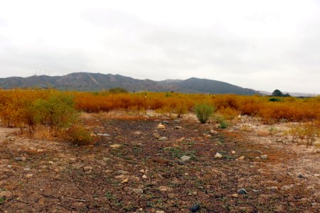 Vernal pool in the dry season at Camp Pendleton photo