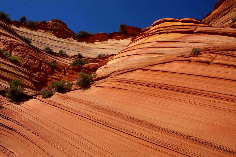 07 - South Coyote Buttes -33