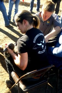 Nadya Seal Faith and David Meyer, both with the Santa Barbara Zoo, prepare California condor #839 for release.