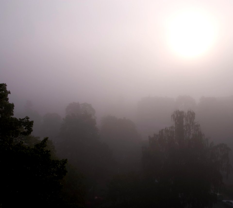 Fog