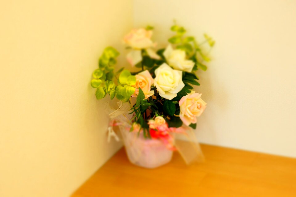 Arrangement miniature rose