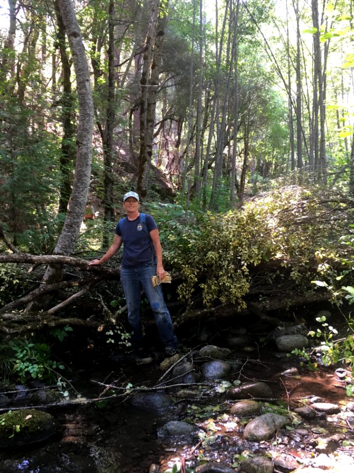 Sheri Hagwood, Partners Program biologist at one of the wood structures she helped install in Cougar Creek.