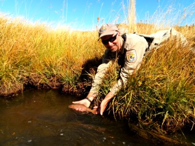 Chad Mellison, U.S. Fish and Wildlife Service biologist, holding a Paiute cutthroat trout photo