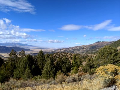 Tree Cutting in the West Desert District