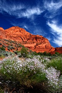 Cottonwood Canyon Wilderness