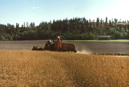 Harvest photo