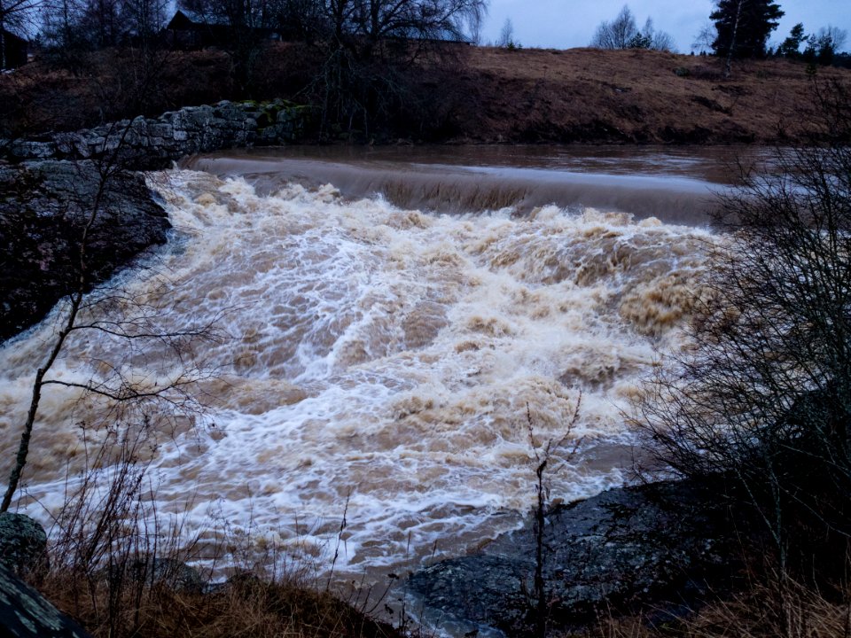 Nautelankoski Strong