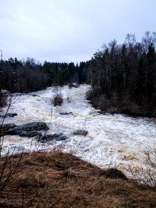 Nautelankoski Strong photo