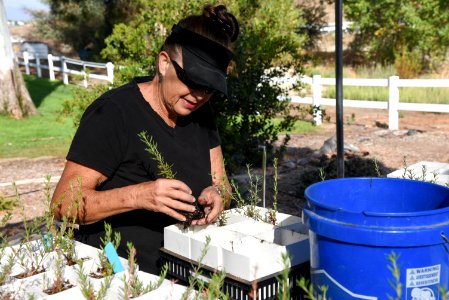 Meadowview volunteer