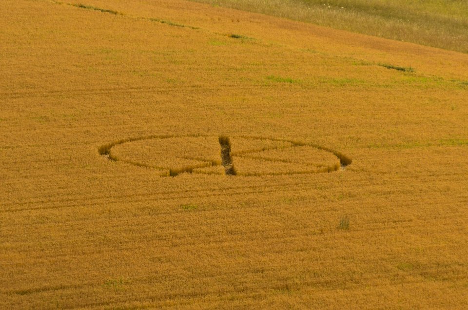 Crop Circle at Vanhalinna