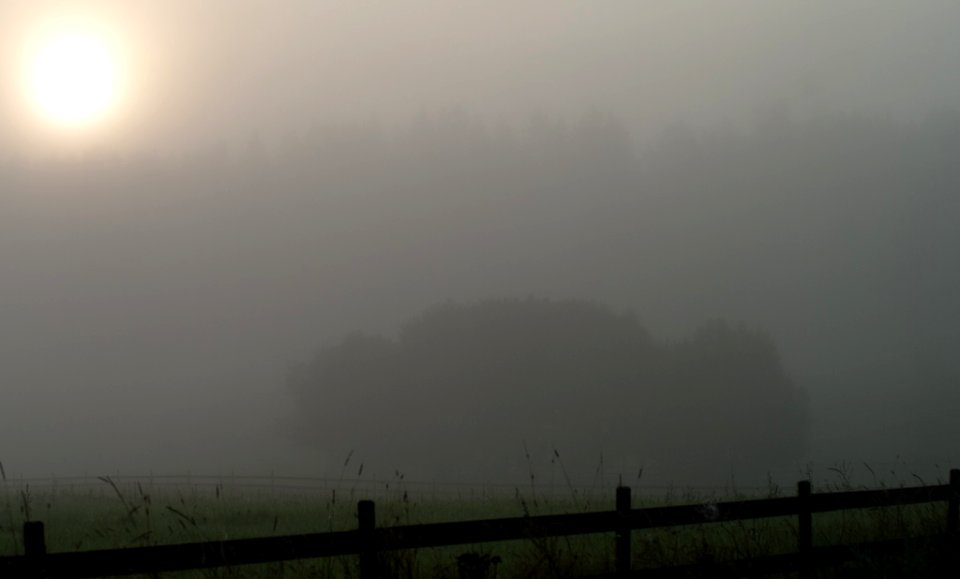 Fog under the influence of... sun.