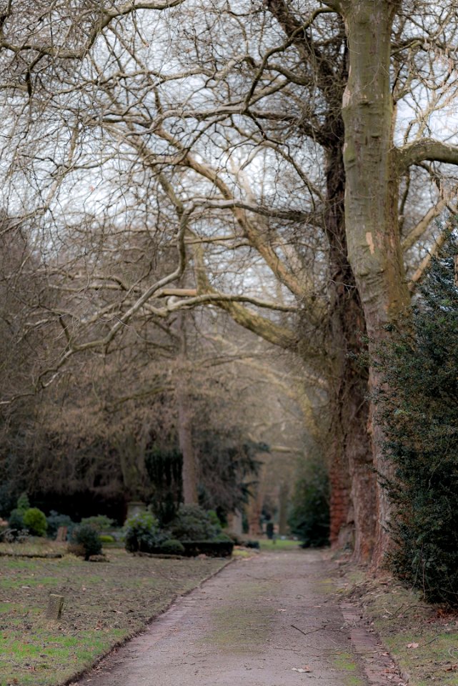 Neulich auf dem Friedhof photo