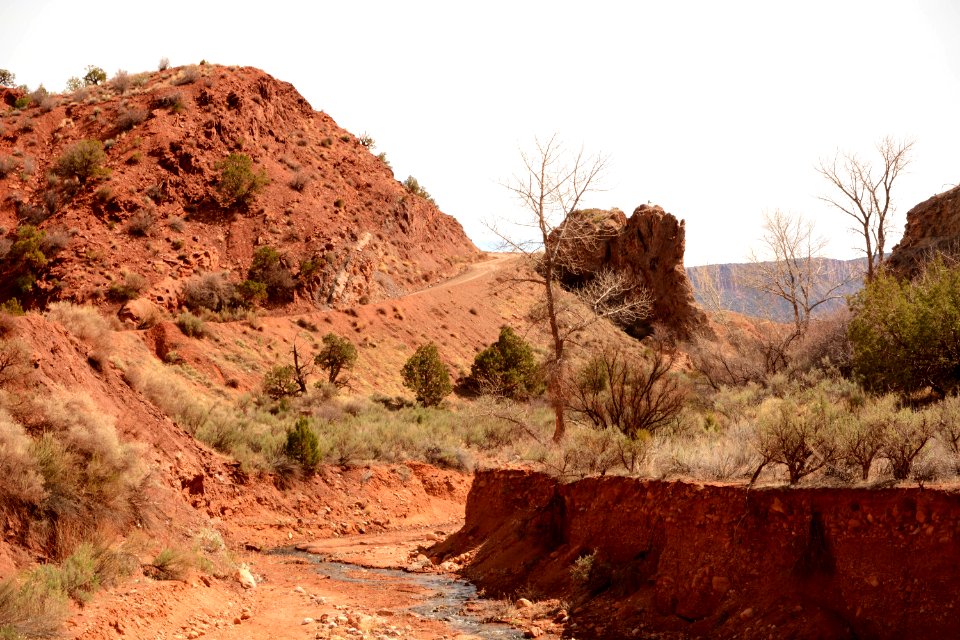 Onion Creek Trail Suth 03-14-17 02