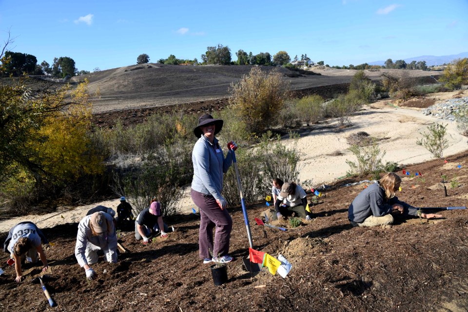 Group planting