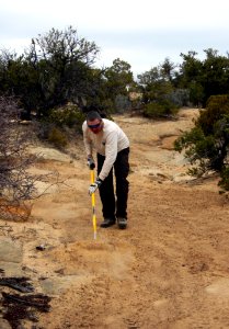 OHV group members volunteer on Devil's Racetrack photo