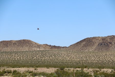 Helicopter translocates tortoises at Marine Corps Base 29 Palms
