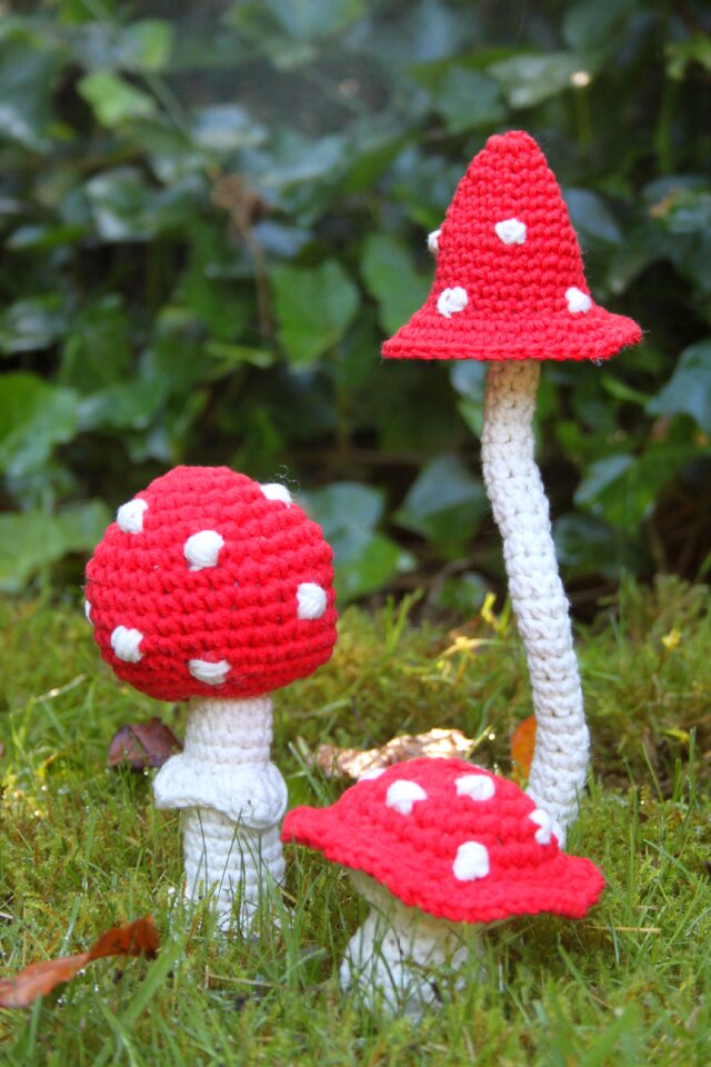 Hooking red with white dots forest
