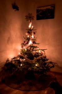 Christmas Tree 2013