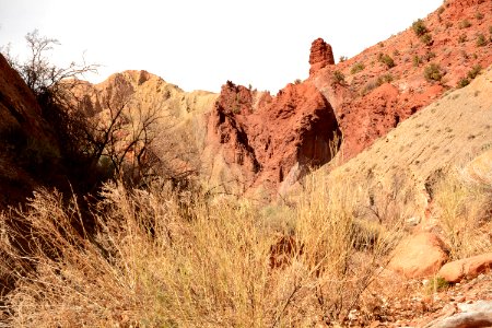 Onion Creek Trail Suth 03-14-17 03