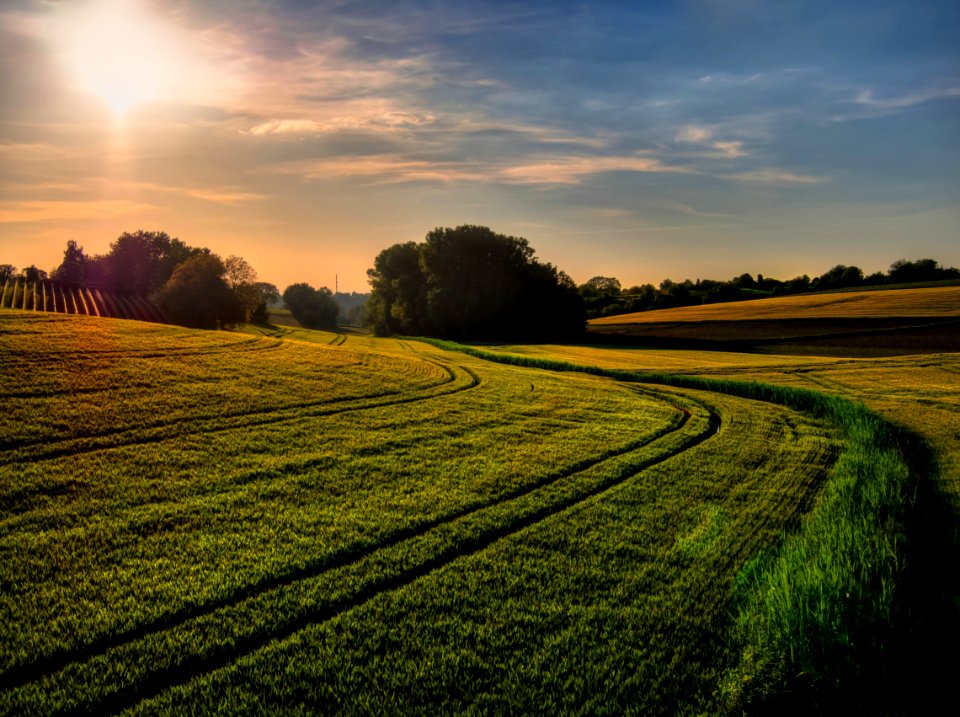 Summer 2013 (Olympus OM-D | Olympus 12mm f2.0 | HDR)