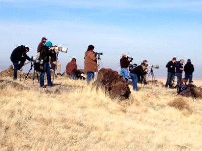 Onaqui Wild Horse Gather 02/18/12