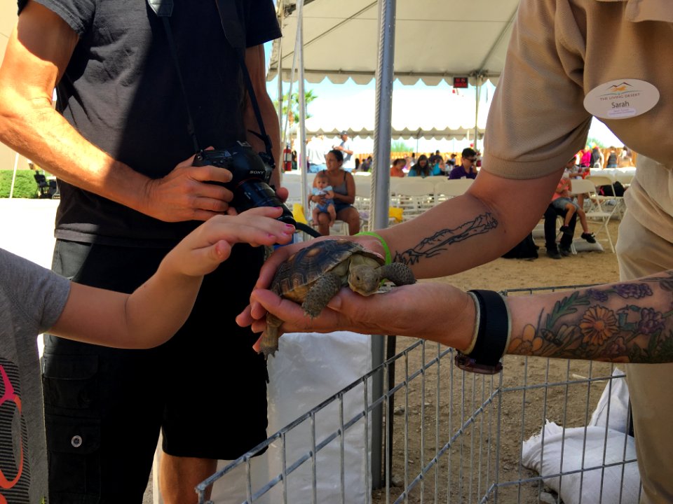 Desert Tortoise Awareness Day 2018