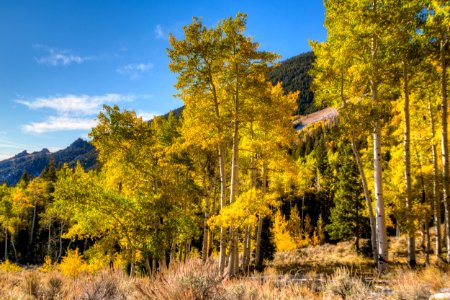 Deep Creek Mountains