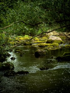 Laajoki