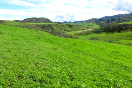 Potrero Preserve