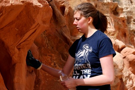 Volunteers clean up Little Wildhorse Canyon