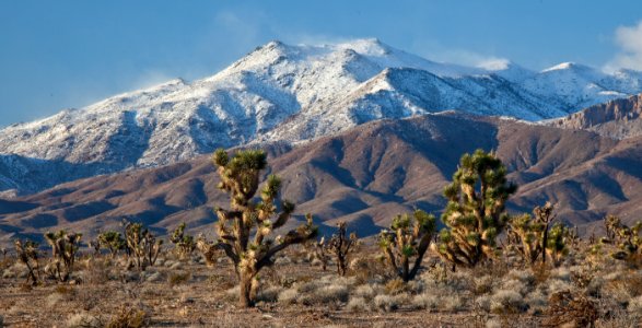 Beaver Dam Wash NCA