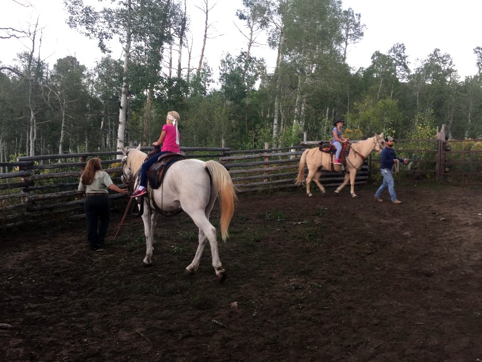 Students learning to ride horses