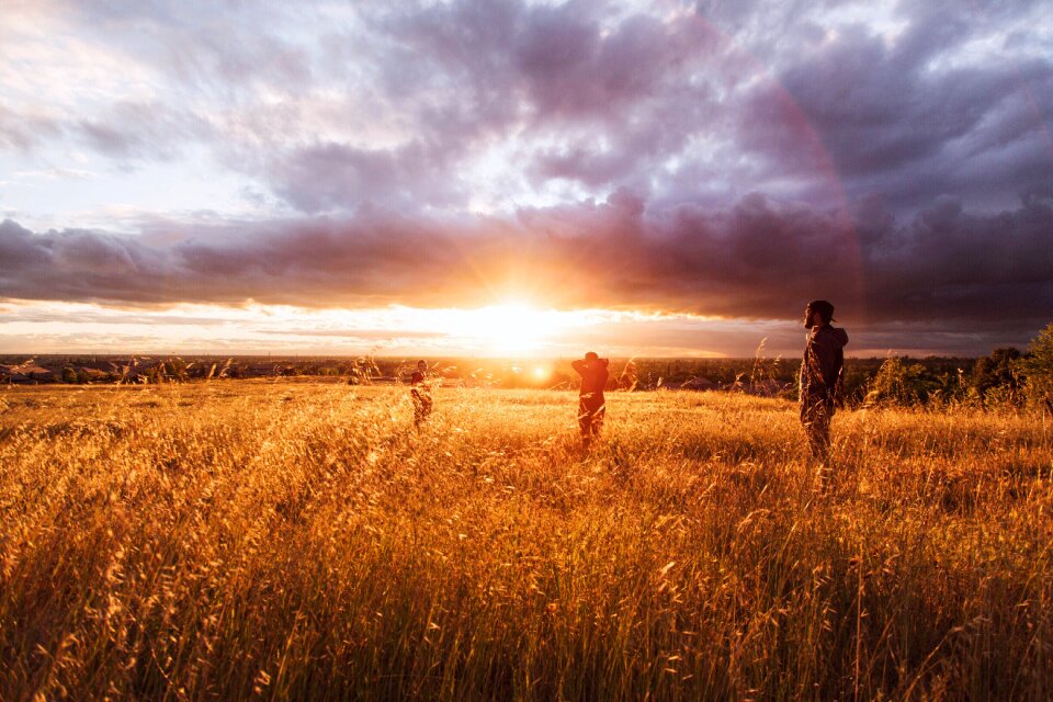 Meadow summer sun photo