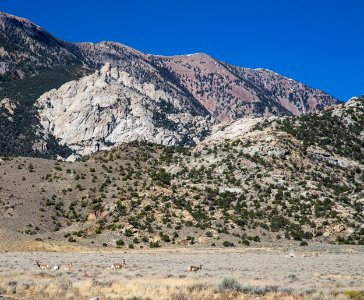 Deep Creek Mountains