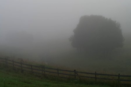 The Jaaninoja stream