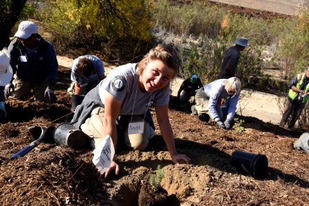 Planting native plants