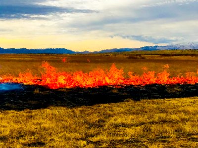Prescribed burn