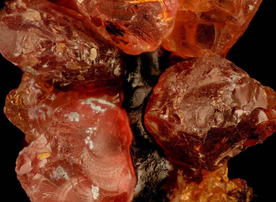 Garnet babies2 2015-08-07-20.33