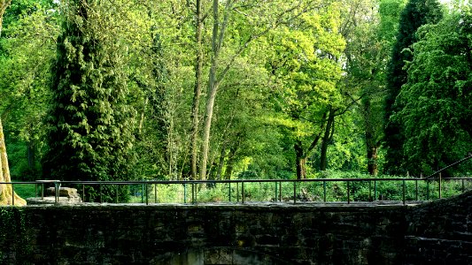 Schlossbrücke photo