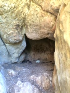 Egg of CA Condors #111 and #509