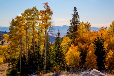 Deep Creek Mountains