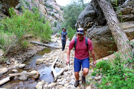 Trekking Wilderness