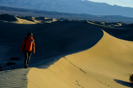 Wandering and wondering