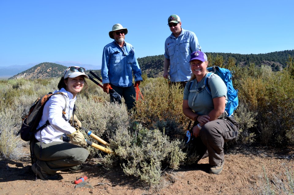 Group with plant
